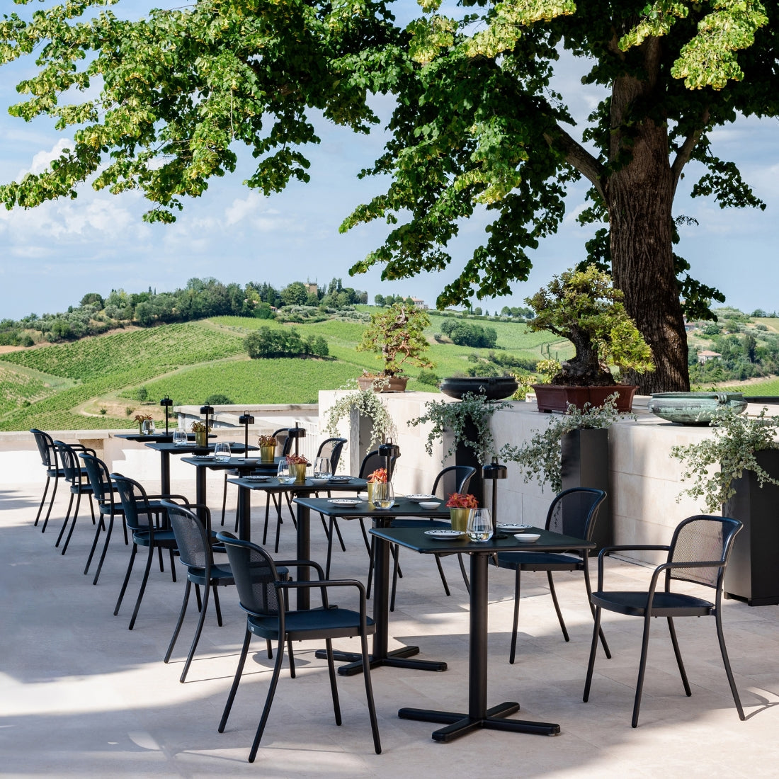 Silla Café de Emu