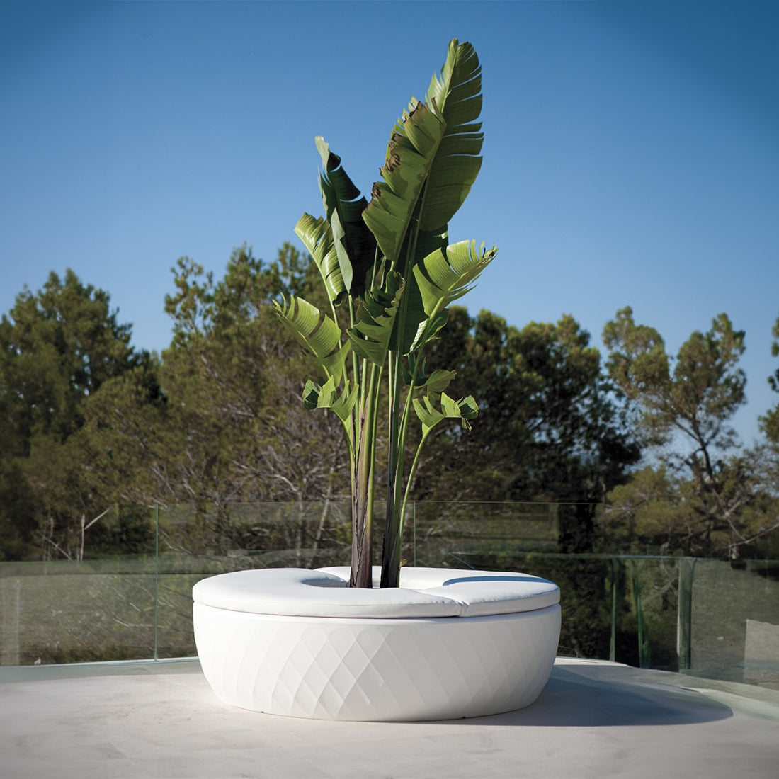 Vases Isla