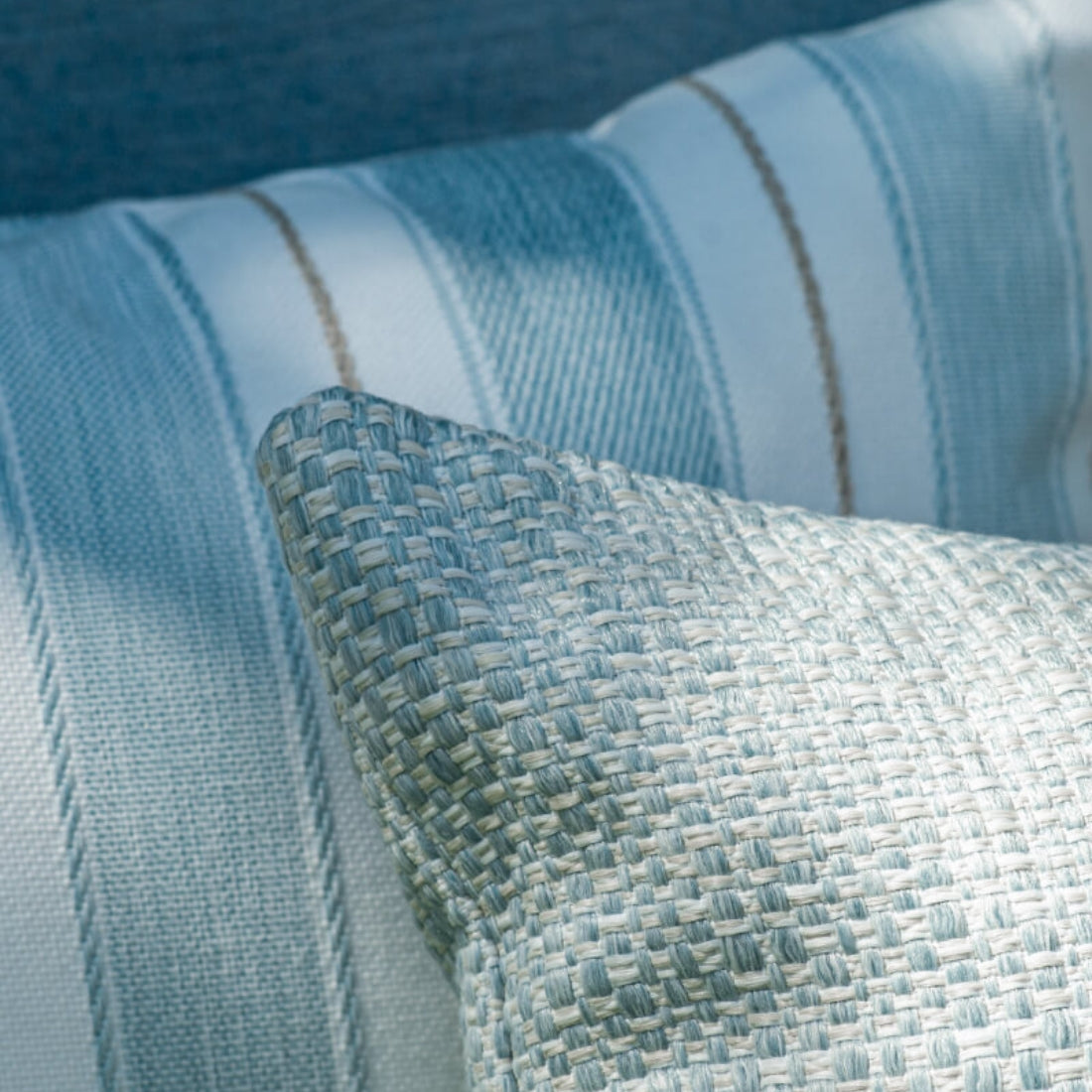 Emu Cojín Decorativo