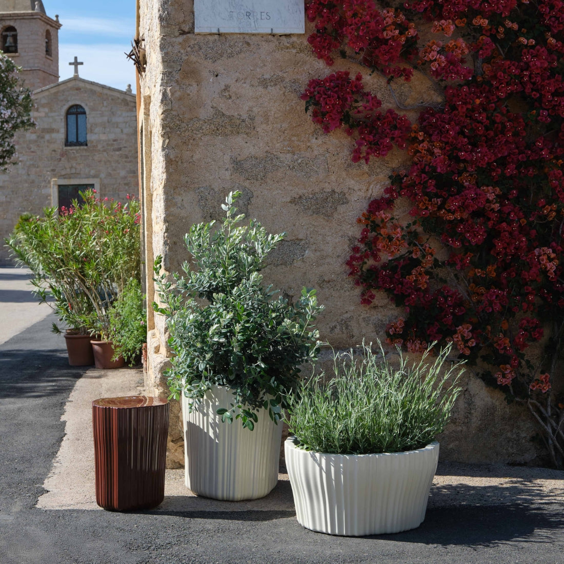 Corteza Mesa Lateral