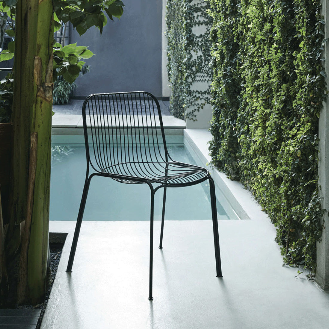 Hiray Silla