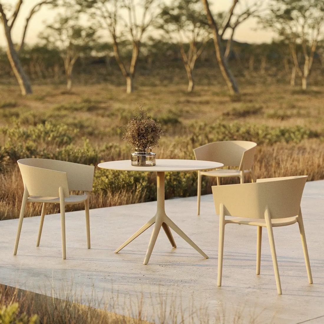 Mari-Sol Mesa Comedor