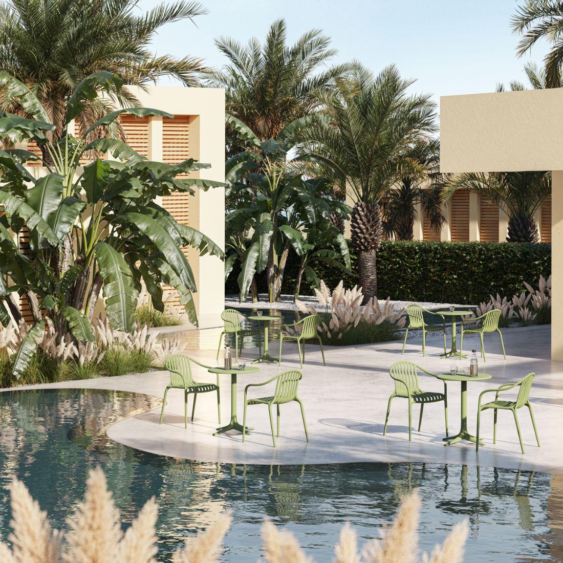Palm Silla