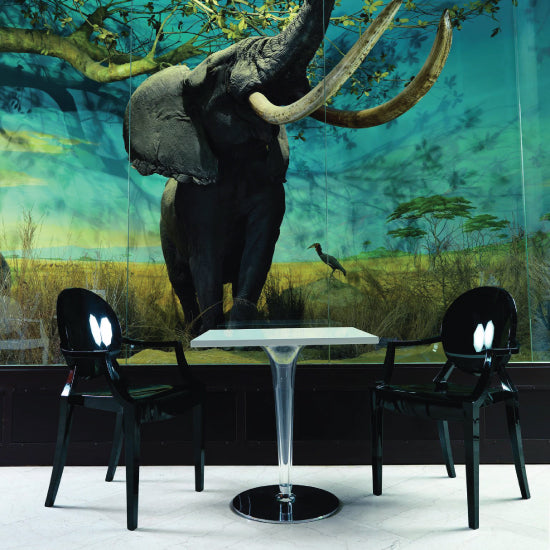 Silla Louis Ghost de Kartell