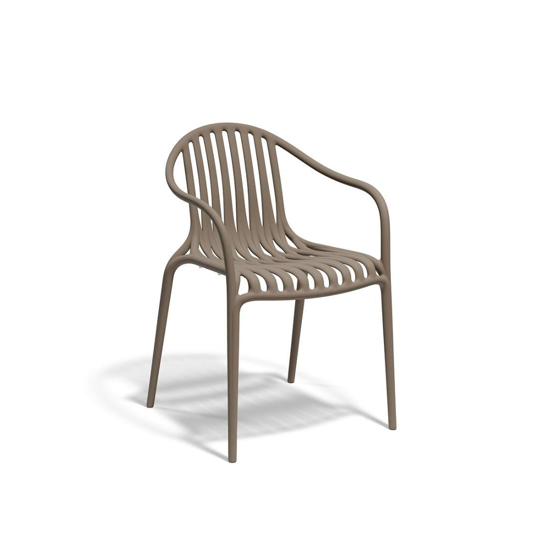 Palm Silla