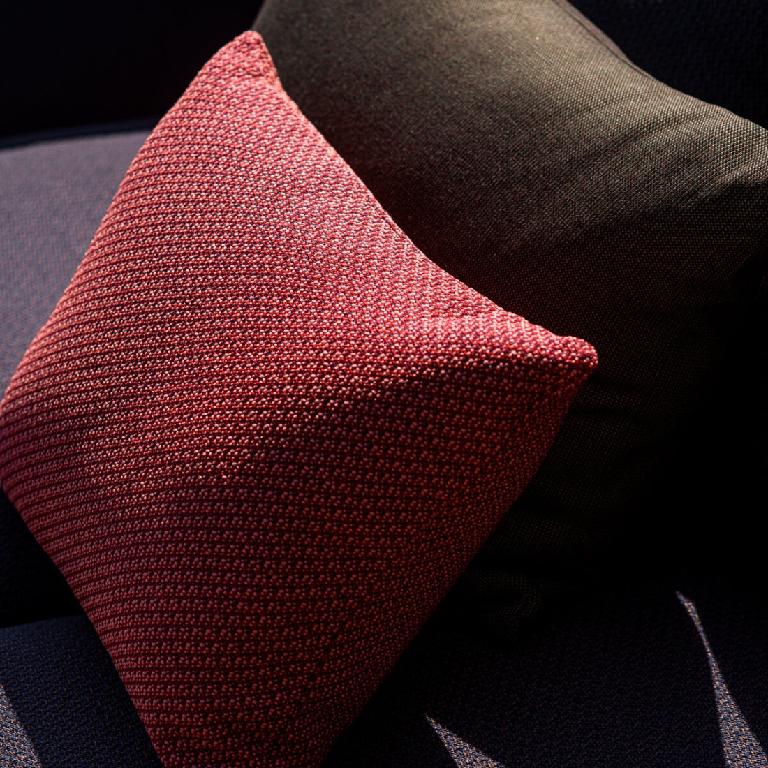 Emu Cojín Decorativo