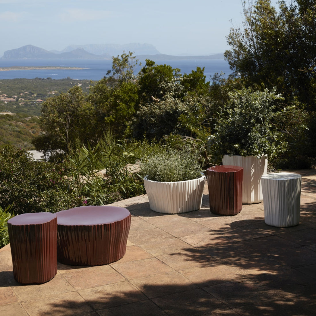 Corteza Mesa Lateral