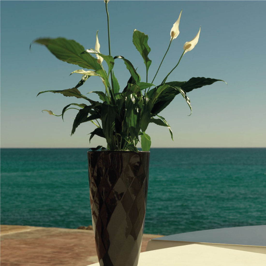 Maceta Vases Nano de Vondom